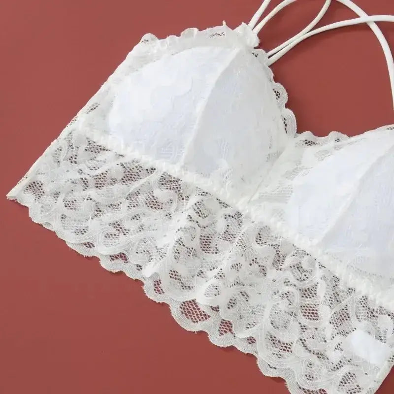 Women's Lace Non - wire Bra And Panties Set Transparent Low Rise Briefs Ultra - thin Comfort Underwear Female Bralette Lingerie Set - The Lady's Haven