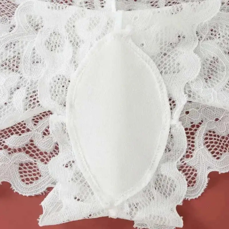 Women's Lace Non - wire Bra And Panties Set Transparent Low Rise Briefs Ultra - thin Comfort Underwear Female Bralette Lingerie Set - The Lady's Haven