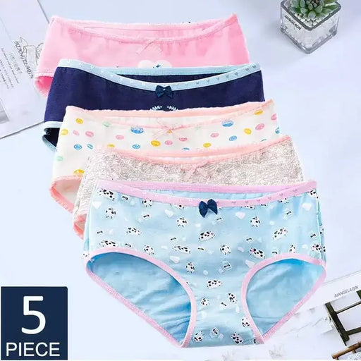 5Pcs Cotton Underwear Women's Panties Plus Size Briefs Girls Calcinha Sexy Lingerie Ladies Panty Print Cartoon Female Underpant - The Lady's Haven