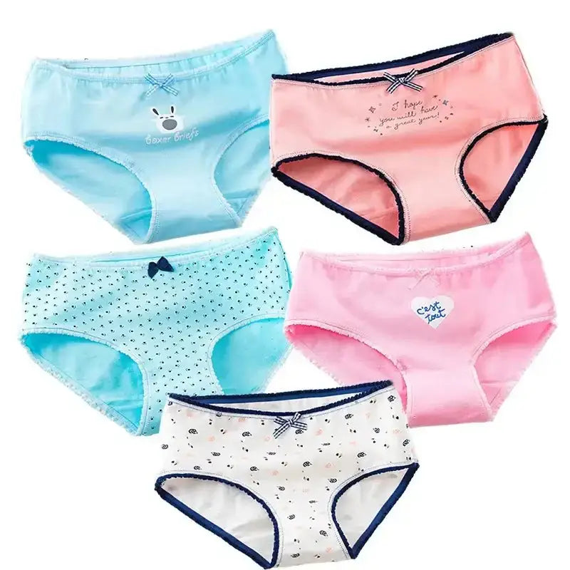 5Pcs Cotton Underwear Women's Panties Plus Size Briefs Girls Calcinha Sexy Lingerie Ladies Panty Print Cartoon Female Underpant - The Lady's Haven