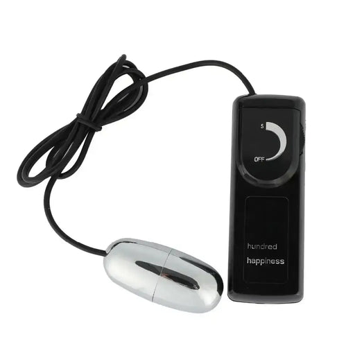 Silver mini vibrating egg with black controller from Hundred Happiness.